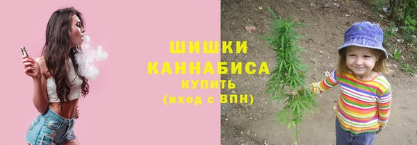 метадон Ельня