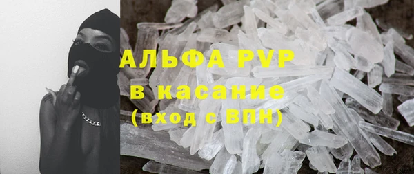 молекула духа Елабуга