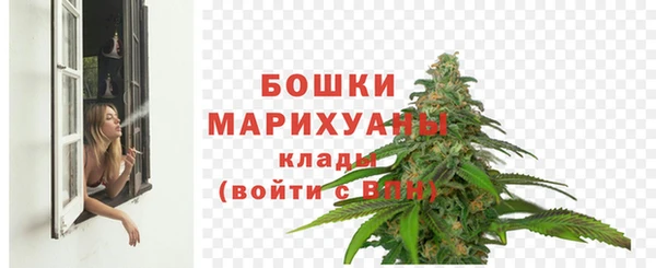 метадон Ельня