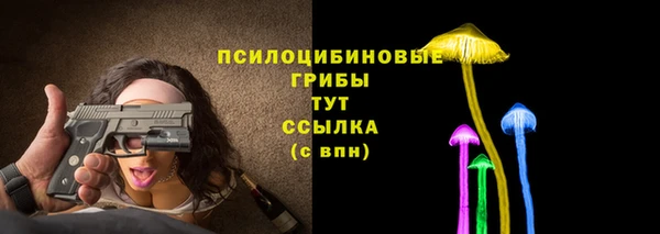 молекула духа Елабуга