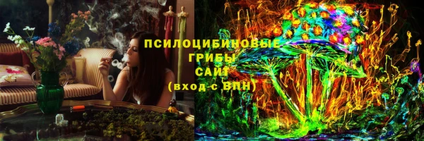 метадон Ельня