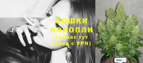 молекула духа Елабуга